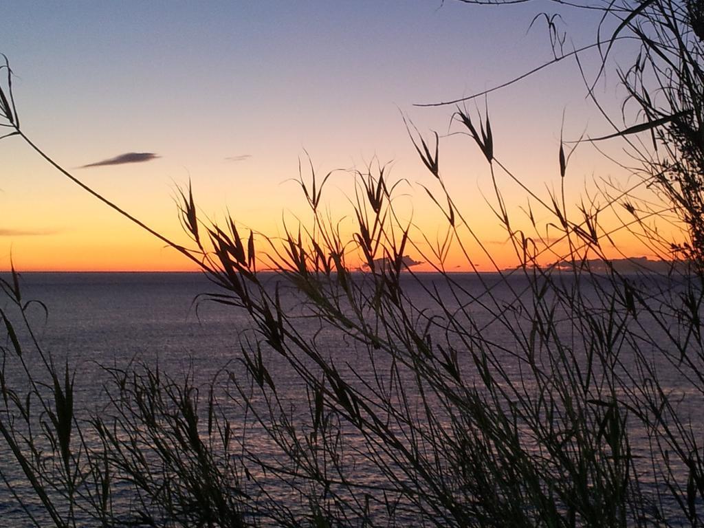 Agriturismo Gocce Di Luna Celle Ligure Quarto foto